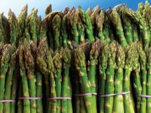Fresh green asparagus