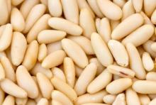 Pine Nut Kernels
