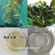  Kelp   Extract 