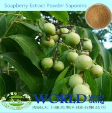 40%-80% Soapnut Saponin Soapberry Extract/Soapberry Extract Powder