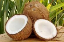  Fresh  coconut