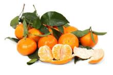Fresh  Clementine 