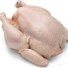 Halal Whole Frozen Chicken