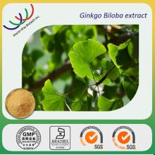 gingko biloba extract
