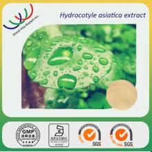 gotu  kola   extract 