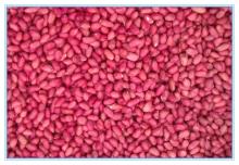 Quality Red skin peanut ,peanuts