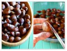 High Quality Fresh Chestnut,Raw