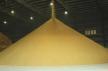 best price  feed   grade   corn   gluten   meal   60 % protein