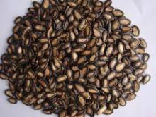 Black  Melon   Seed s