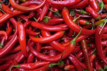 fresh and dry red chilli peper for sale