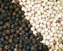 quality black and white pepper for sale