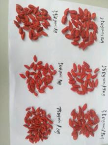 Goji Berries