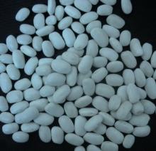 White Kidney Bean(Medium Type)
