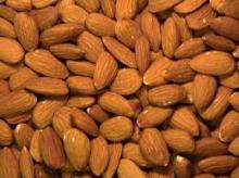 Organic Bitter  Apricot   Kernels 