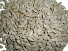 Sunflower Seeds