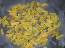 Dried raisins