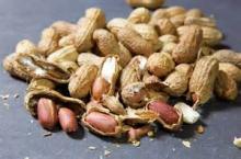 roasted peanut in shell