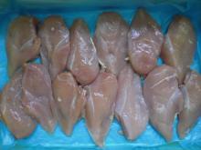 HALAL FROZEN CHICKEN BREAST FILLET