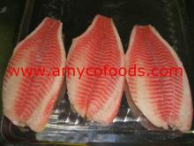 Tilapia Fillet high quality