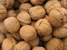 Dried Walnut