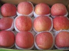 FUJI APPLES FOR SELL FROM SOUTH AFRICA