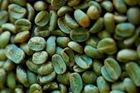  Green  ARABICA  COFFEE  BEANS