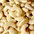  Raw   Cashew  Nuts