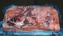 FROZEN BOILET  GIANT   SQUID   WING S