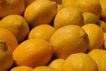 CITRUS FRUITS YELLOW ADALIA LEMONS