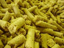 Solvent Extracted Soybean Meal 48% Protein