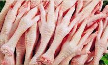 halal certified frozen chicken feet