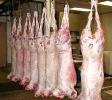 Frozen lamb meat