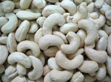 HIGH QUALITY CASHEW NUT KERNELS FOR SALE