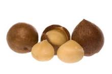  macademia   nuts 