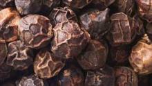 Buy Black Pepper from Madagascar Suppliers