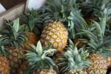 Fresh Pineapples