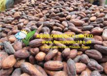 Cacao