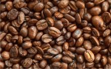  Robusta   Coffee   Bean 
