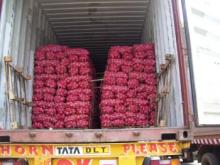red  onion  for supply