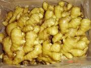 Fresh Ginger for Sale