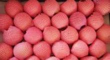 Fresh Red Fuji apple