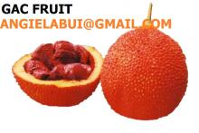  Gac  fruit, Momordica cochinchinensis