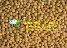 Organic Soybean