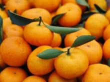 fresh fruits,sweet Ponkans