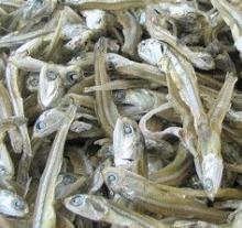 Dried Anchovies