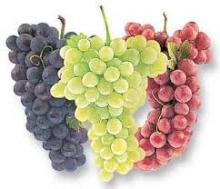 Fresh  Grapes 