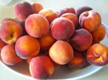 Fresh Peaches