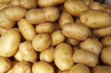 Fresh Potatoes
