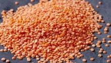 Red and Green Lentil