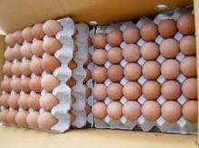 Fresh Chicken Eggs